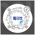 描述